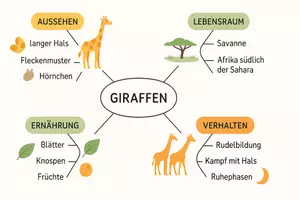 Vorschau - Arbeitsblätter - Arbeitsblatt zum Thema "Giraffen" + Onlineübung & MP3 + Mindmap + Infografik - Seite 2