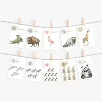 Προεπισκόπηση - Flashcards - 34 εκπαιδευτικές κάρτες ΑΒ & Αριθμοί Born2Play - Εξώφυλλο