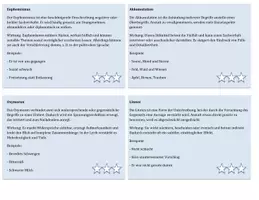 Vorschau - Merkblätter - Stilmittel / Rhetorische Mittel und deren Wirkung - Lernkartei - Seite 3