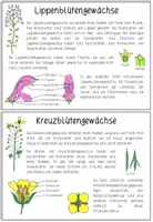 Vorschau - Arbeitsblätter - PFLANZEN - Materialpaket - Seite 3