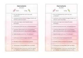 Vorschau - Spiele - Klammerkarte zu unseren Blutzellen - Seite 1