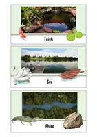 Vorschau - Spiele - Sortierspiel Flora & Fauna im und am Gewässer - Ökosystem Gewässer - Biologie - Seite 2