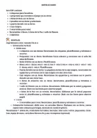 Vista previa - Juegos / Gamificación - EN BUSCA DE LA GEMA DE LA PAZ - ESCAPE ROOM - página 2
