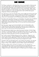 Vorschau - Stundenentwürfe - Arbeitsheft Sinne Sinnesorgane Wahrnehmung - Seite 3