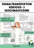 Vorschau - Arbeitsblätter - Signaltransduktion Geruchs- & Geschmackssinn Partnerpuzzle - Deckblatt
