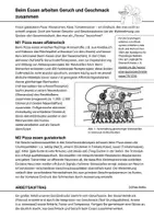 Vorschau - Arbeitsblätter - Signaltransduktion Geruchs- & Geschmackssinn Partnerpuzzle - Seite 3