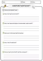 Vorschau - Arbeitsblätter - Agroforstwirtschaft Biologie Pflanzen Lesetext mit Richtig Falsch Multiple Choice und Offenen Fragen - Seite 3
