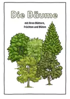Vorschau - Präsentationen/Tafelbilder - Der Wald - Die verschiedenen Bäume - Deckblatt