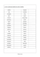anteprima - Esercizi - Il passato prossimo: raccolta di materiali - Pagina 2