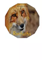 Vorschau - Stationenlernen - Legekreis - Fuchs / Rotfuchs (ab 3. Klasse) - Seite 2