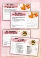 Vorschau - Stundenentwürfe - Herbstliche Lesekartei - Spannende Fragen und interessante Antworten - im Herbst - Seite 1
