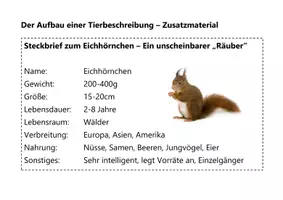 Vorschau - Arbeitsblätter - Tierbeschreibung Kombipaket. Klassenarbeit und Nachschreibearbeit + Aufbau einer Tierbeschreibung - Seite 3