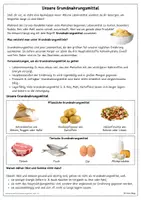 Vorschau - Stundenentwürfe - MEGA Spar-Paket "Gesunde Ernährung" für die SEK 1 / Arbeitsblätter "Gesunde Ernährung" WACHSENDES PAKET! - Seite 2
