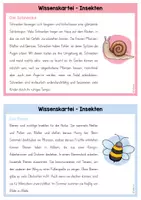 Vorschau - Text - Wissenskartei: Insekten - Seite 3