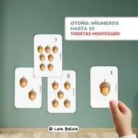 Vista previa - Refuerzo / NEE / Materiales de apoyo - Tarjetas MONTESSORI de 3 Partes (Números 1-10). - Portada