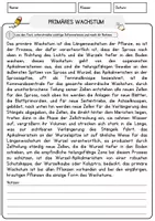 Vorschau - Arbeitsblätter - Primäres Wachstum Biologie Pflanzen Lesetext mit Richtig Falsch Multiple Choice und Offenen Fragen - Seite 1
