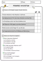 Vorschau - Arbeitsblätter - Primäres Wachstum Biologie Pflanzen Lesetext mit Richtig Falsch Multiple Choice und Offenen Fragen - Seite 2