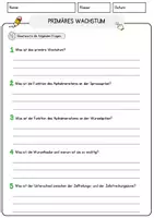 Vorschau - Arbeitsblätter - Primäres Wachstum Biologie Pflanzen Lesetext mit Richtig Falsch Multiple Choice und Offenen Fragen - Seite 3
