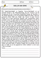 Vorschau - Arbeitsblätter - Quellen und Senke Biologie Pflanzen Lesetext mit Richtig Falsch Multiple Choice und Offenen Fragen - Seite 1