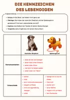 Vorschau - Arbeitsblätter - Kennzeichen des Lebendigen, Lehre des Lebens | Unterrichtsreihe "Tiere in unserem Umfeld", Biologie, Klasse 5./6. - Seite 1