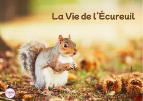 Aperçu - Préparation de séance / Séance complète - kamishibai La Vie de l’Écureuil - Page de couverture