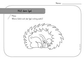 Vorschau - Arbeitsblätter - Material zum Thema Schöpfung bewahren - Seite 3