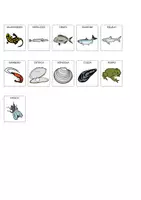 anteprima - Materiale di supporto/inclusione - Vertebrati-Invertebrati in CAA - Pagina 3