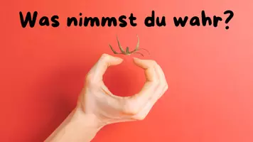 Vorschau - Arbeitsblätter - Von der Wahrnehmung zur Wahrheit – ein philosophisches Selbstexperiment - Seite 1