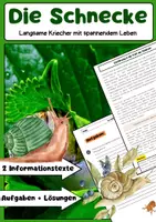Vorschau - Arbeitsblätter - Die Schnecke: Lebensweise, Körperbau & Bedeutung - Deckblatt