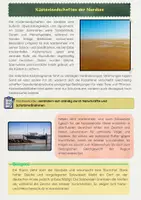 Vorschau - Arbeitsblätter - Küstenlandschaften der Nordsee: Wattenmeer, Marsch, Geest - Seite 2