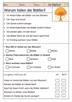 Vorschau - Arbeitsblätter - Lesen & Verstehen - Im Herbst - Leseförderung für Leseanfänger (Klasse 1-2) - Seite 2