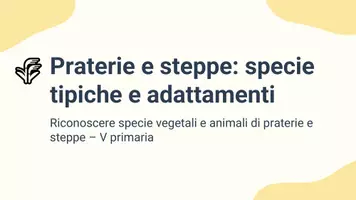 anteprima - Presentazioni / Lavagne - Riconoscere specie vegetali e animali tipiche della prateria e della steppa - Pagina 1
