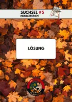 Vorschau - Arbeitsblätter - Suchsel #5 Herbstferien - Seite 2