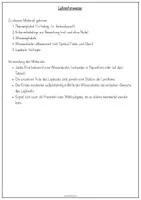 Vorschau - Unterrichtsreihen - Einheit zu Wikingern - Lapbook mit Wissenskartei erstellen - Klasse 2/3 - Seite 2