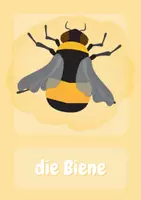 Vorschau - Poster - Die Biene - Tafelbilder zum ausdrucken - Seite 1