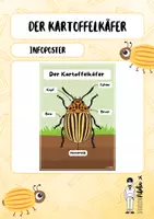 Vorschau - Poster - Liebevoll gestaltetes Infoposter zum Kartoffelkäfer - Deckblatt