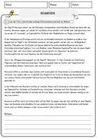 Vorschau - Arbeitsblätter - Noumenon Ethik und Philosophie Lesetext mit Richtig Falsch Multiple Choice und Fragen zum Text - Seite 1