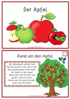 Vorschau - Stationenlernen - Der Apfel - Informationskartei - Seite 2