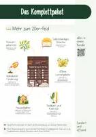 Vorschau - Unterrichtsreihen - Mengenerfassung am 20er-Feld - 10 Mini-Dominos - 1. Klasse - Seite 3