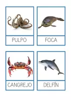 Vista previa - Tarjetas / Manipulativos - DOSSIER MATERIALES ANIMALES MARINOS - página 2