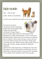 Vorschau - Bildkarten - Haustiere Infokarten – kindgerechte Texte zu beliebten Haustieren - Seite 1