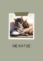 Vorschau - Bildkarten - Haustiere Infokarten – kindgerechte Texte zu beliebten Haustieren - Seite 2