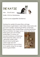 Vorschau - Bildkarten - Haustiere Infokarten – kindgerechte Texte zu beliebten Haustieren - Seite 3