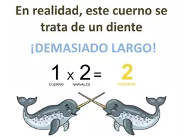 Vista previa - Refuerzo / NEE / Materiales de apoyo - Presentación pdf / Llavero tabla 1 - página 2