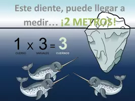 Vista previa - Refuerzo / NEE / Materiales de apoyo - Presentación pdf / Llavero tabla 1 - página 3
