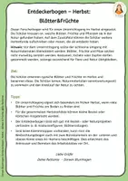 Vorschau - Arbeitsblätter - Herbstspaziergang – Entdeckerbogen Blätter und Früchte - Seite 1
