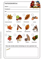 Vorschau - Arbeitsblätter - Herbstspaziergang – Entdeckerbogen Blätter und Früchte - Seite 2