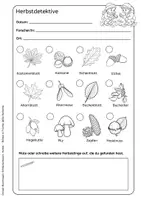 Vorschau - Arbeitsblätter - Herbstspaziergang – Entdeckerbogen Blätter und Früchte - Seite 3