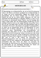 Vorschau - Arbeitsblätter - Meeresbiologe Arbeitsblätter mit Fragen + Lösungen Deutsch DaZ Grundschule AB - Seite 1