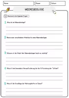 Vorschau - Arbeitsblätter - Meeresbiologe Arbeitsblätter mit Fragen + Lösungen Deutsch DaZ Grundschule AB - Seite 3